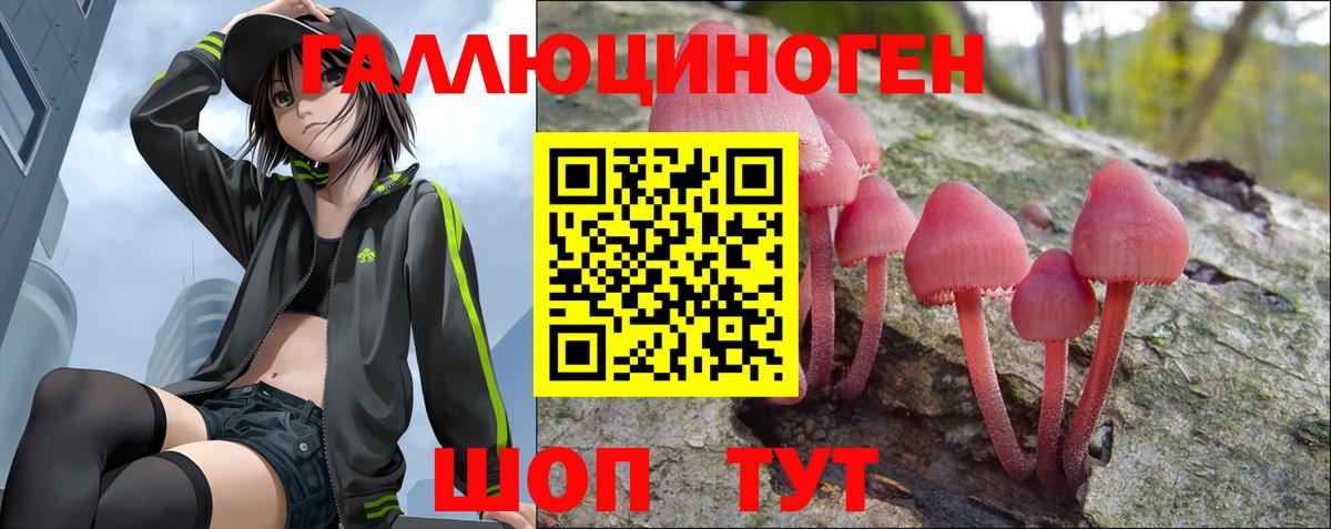 Псилоцибиновые грибы прущие грибы Белгород